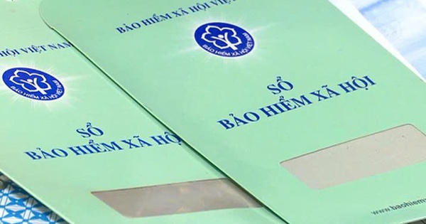 TP.HCM: Hơn 26.600 đơn vị chậm đóng bảo hiểm từ 3 tháng trở lên