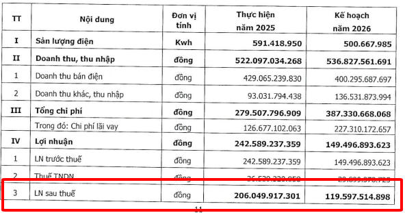 VCP Holding: Bài toán vốn cho tham vọng M&A và thủy điện