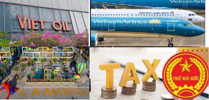 Xuyên Việt Oil, Golden Hill, Pacific Airlines bị công khai nợ thuế hàng trăm tỷ đồng.