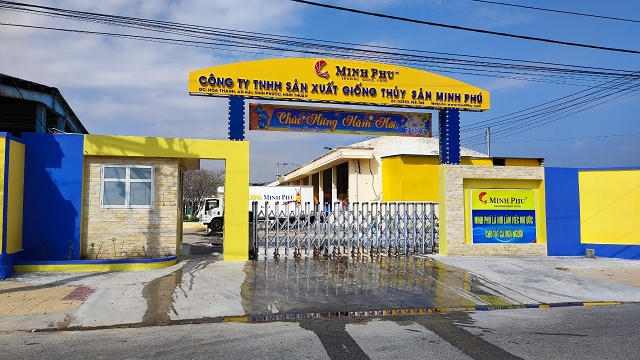 Minh Phú lãi ròng 208 tỷ đồng, doanh thu quý 1/2026 hơn 5.7 ngàn tỷ
