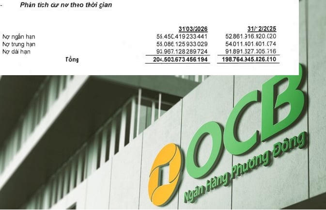 Trong cơ cấu tín dụng, nợ dài hạn tiếp tục chiếm tỷ trọng lớn nhất với gần 94.000 tỷ đồng, trong khi dư nợ ngắn hạn và trung hạn lần lượt đạt khoảng 55.450 tỷ đồng và 55.086 tỷ đồng.
