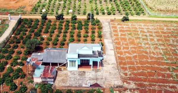 Chuyển đất trồng cây lâu năm sang đất ở: Quy định mới cần biết