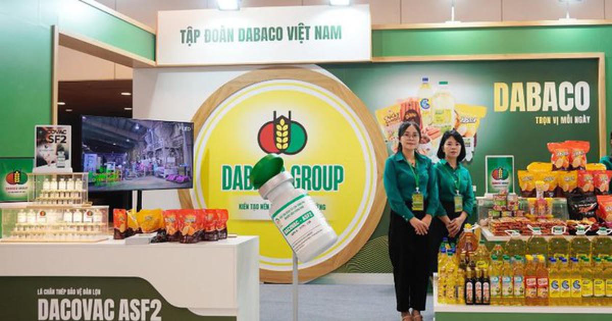 Dabaco (DBC) tung "combo" cổ tức 15%: Tiền mặt trao tay, cổ phiếu thưởng rót túi