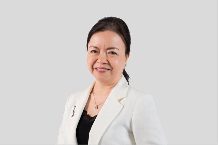 REE đổi ghế Chủ tịch, con trai bà Nguyễn Thị Mai Thanh lên làm Tổng giám đốc