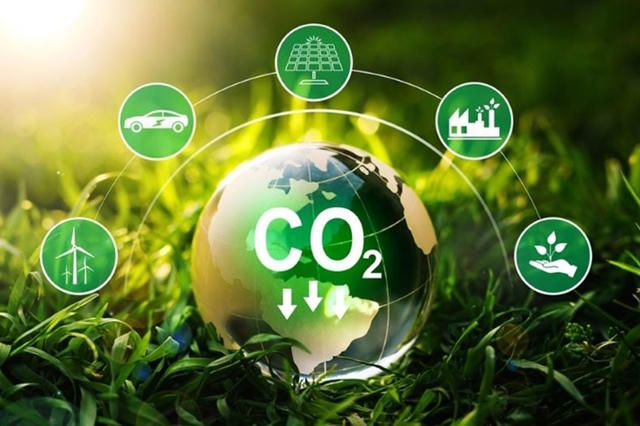 Sàn tín chỉ carbon bị siết chặt: Sở Giao dịch chính thức vào cuộc giám sát các dấu hiệu vi phạm