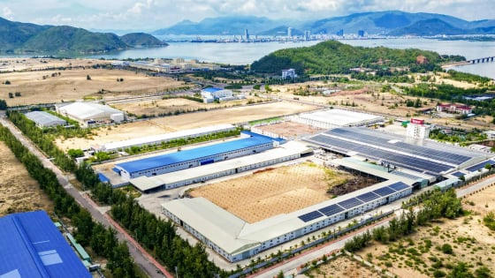 Gia Lai đón dự án gỗ hơn 12 triệu USD từ doanh nghiệp Hong Kong