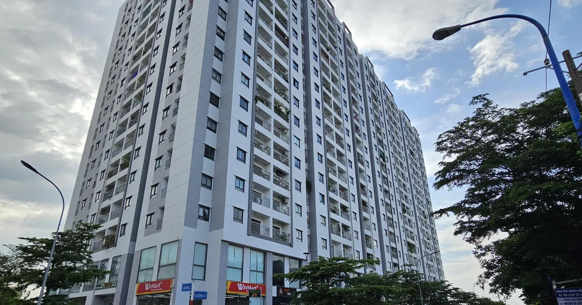 TPHCM: Nhiều dự án bất động sản vẫn vướng pháp lý, chậm cấp sổ