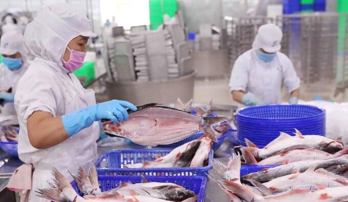 Năm 2026, Vĩnh Hoàn đặt mục tiêu doanh thu hợp nhất hơn 14.000 tỷ đồng, tăng gần 16% so với thực hiện năm 2025.