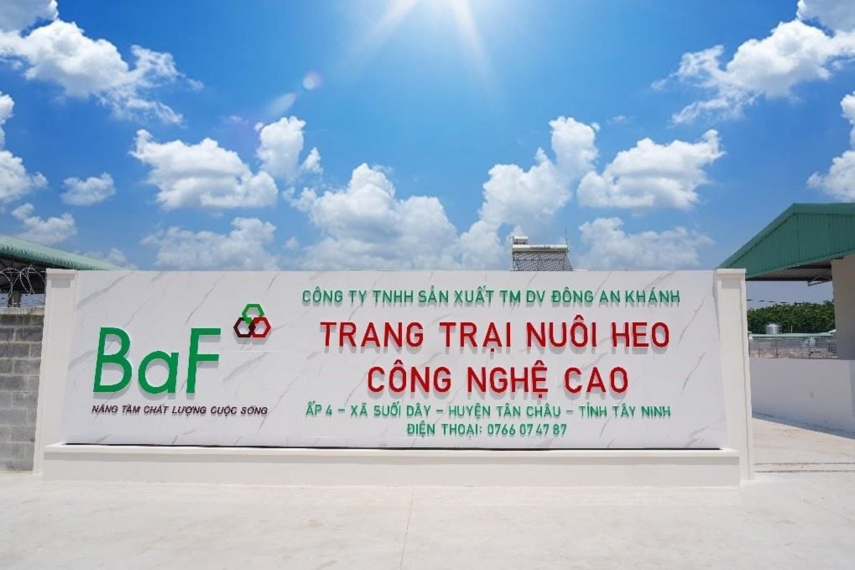 Chơi lớn đầu năm: BAF cầm cố loạt công ty con để thâu tóm khoản vay khủng từ "đại gia" Hà Lan