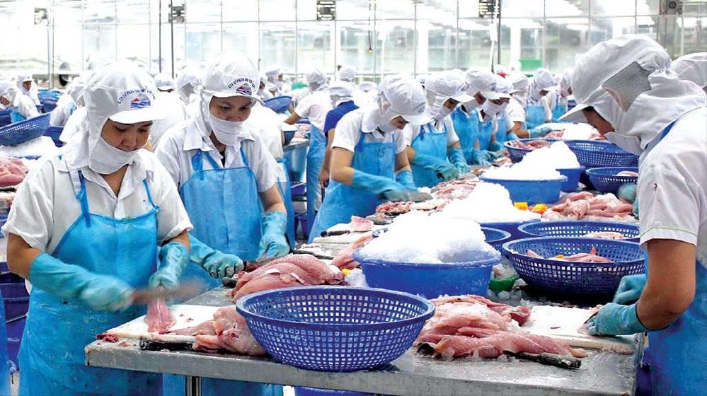 Cổ phiếu cổ đông cô đặc: Thanh khoản thấp, rủi ro gì cho nhà đầu tư?