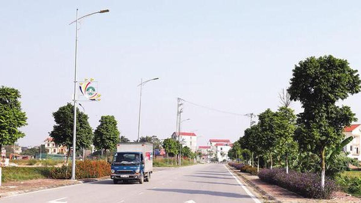Bắc Ninh dừng dự án khu nhà ở đấu giá đất tại xã Kim Chân