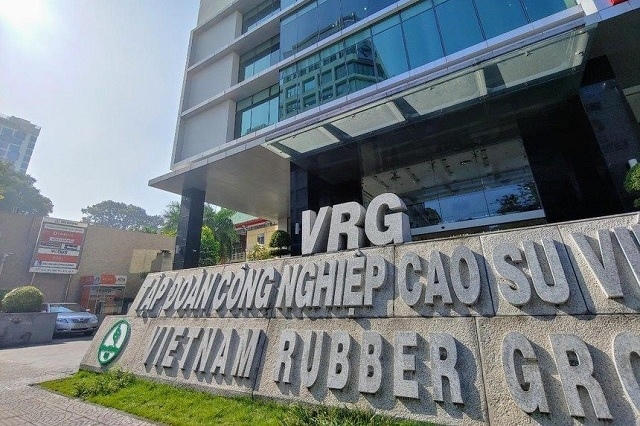 GVR và chiến lược "phòng thủ từ xa": Tại sao lại thận trọng khi giá cao su đang tăng?