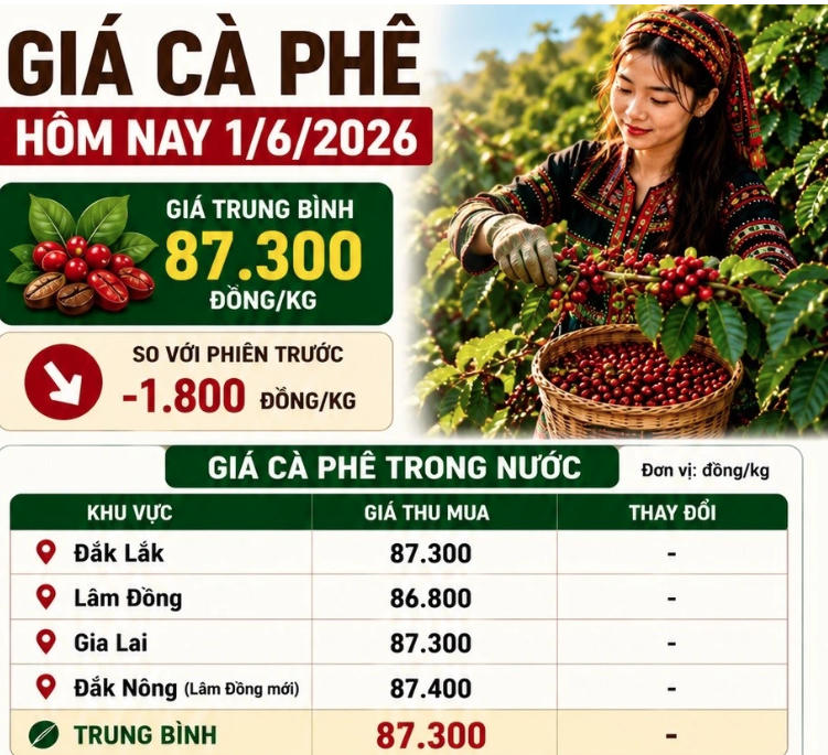 Chốt giá cà phê hôm nay 1/6/2026: Tây Nguyên giảm còn 86.800 - 87.400 đồng/kg