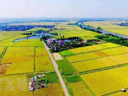 Tính lại tiền sử dụng đất khi chuyển đất vườn lên đất ở: Bộ Tài chính thúc địa phương