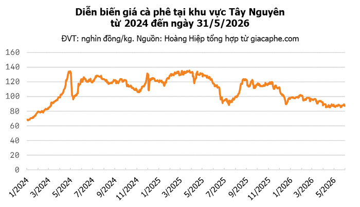 Giá cà phê hôm nay 31/5: Tây Nguyên giảm 600-700 đồng/kg