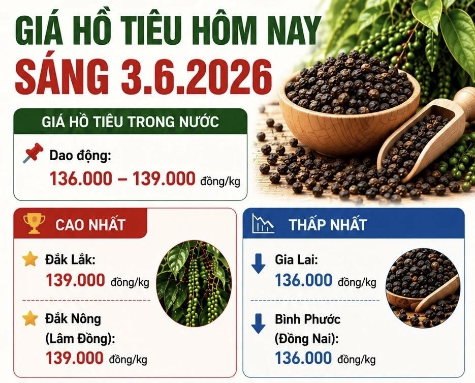 Giá hồ tiêu hôm nay 4/6: Đang giao dịch bao nhiêu sau cú giảm sâu?