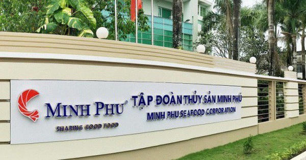 Lãnh đạo Minh Phú đăng ký bán gần hết cổ phiếu MPC trước ĐHĐCĐ 2026