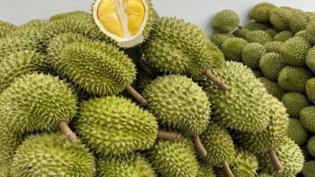 Giá sầu riêng hôm nay 5/6: Thị trường ổn định tại Đồng Nai, Tây Ninh