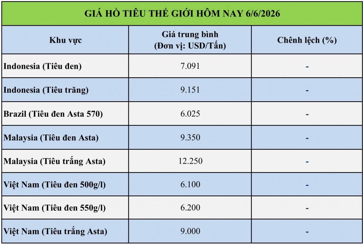 Giá tiêu hôm nay (chiều 6/6/2026): Duy trì mức cao 140.000 đồng/kg