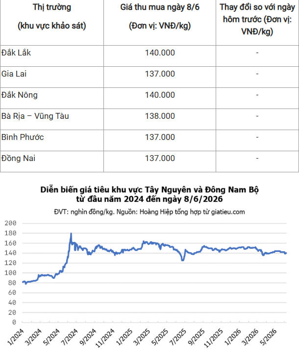 Giá hồ tiêu hôm nay (sáng 8/6): Duy trì giá cao