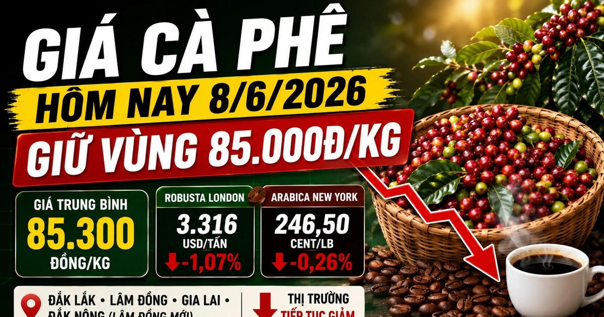 Giá cà phê hôm nay (sáng 8/6): Tây Nguyên neo thấp quanh 85.000 đồng/kg