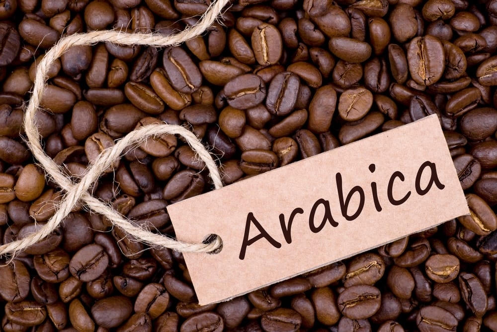 Giá cà phê hôm nay 9/6: Robusta tăng, Arabica tiếp tục giảm