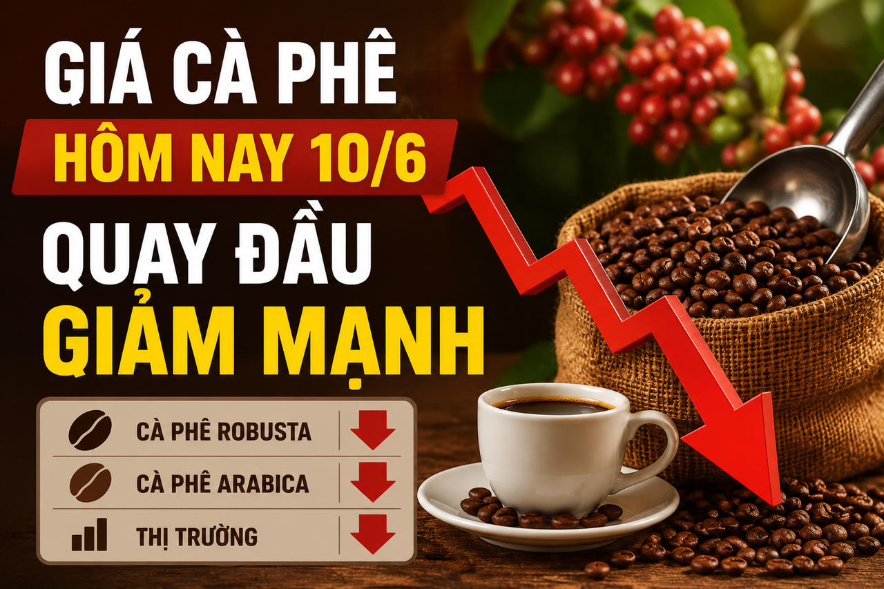 Giá cà phê hôm nay (chiều 10/6): Quay đầu giảm mạnh