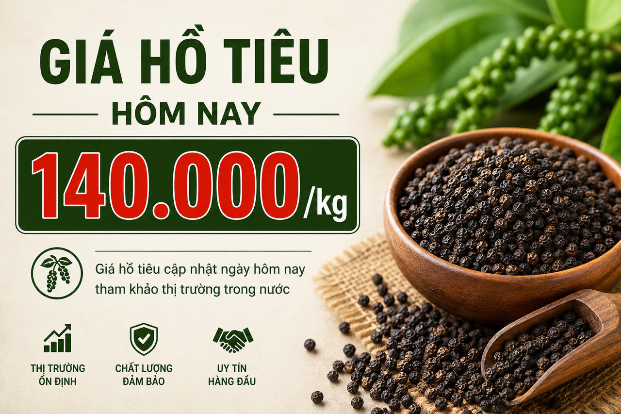 Chốt giá hồ tiêu hôm nay 11/6: Trong nước giữ 138.000 - 140.000 đồng/kg