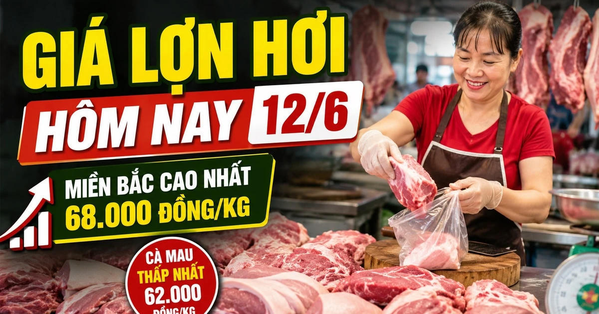 Giá lợn hơi hôm nay 12/6: Miền Bắc giữ đỉnh 68.000 đồng/kg