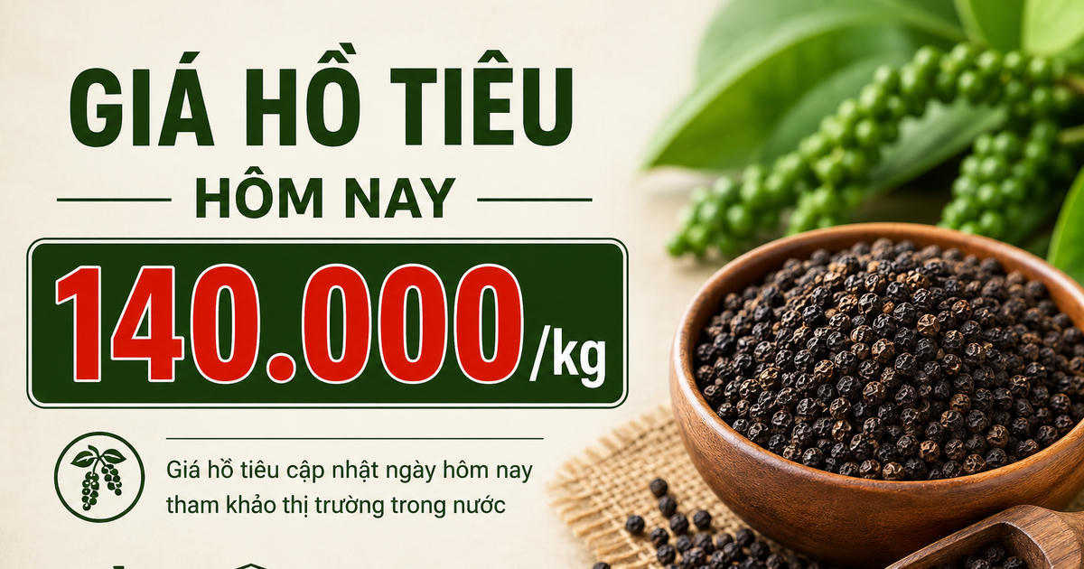 Giá hồ tiêu hôm nay 13/6: Tăng mạnh lên 138.500 - 140.500 đồng/kg