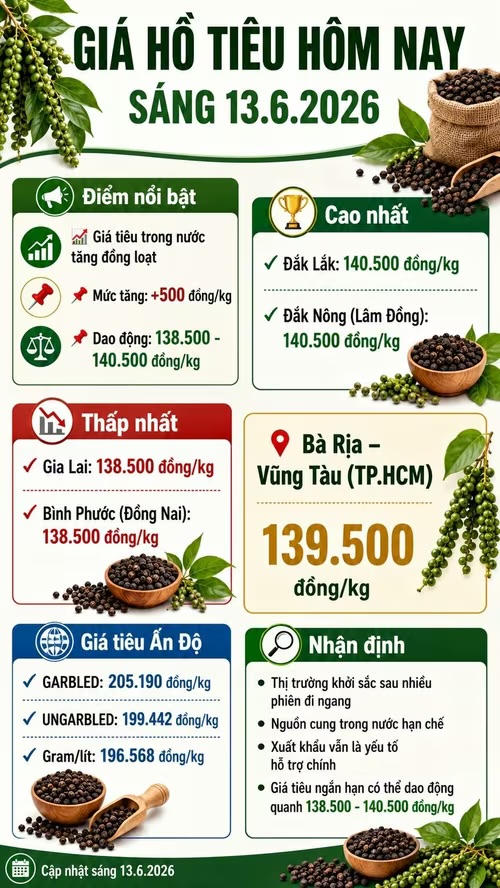 Giá hồ tiêu hôm nay (chiều 13/6): Bật tăng mạnh, vùng trong điểm đang giao dịch bao nhiêu