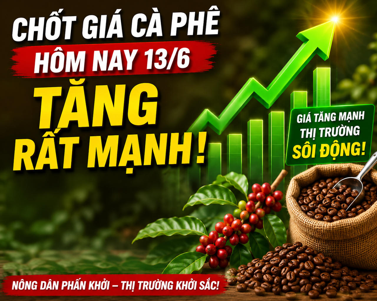 Chốt giá cà phê hôm nay 13/6/2026: Đồng loạt tăng phi mã, người nông dân phấn khởi