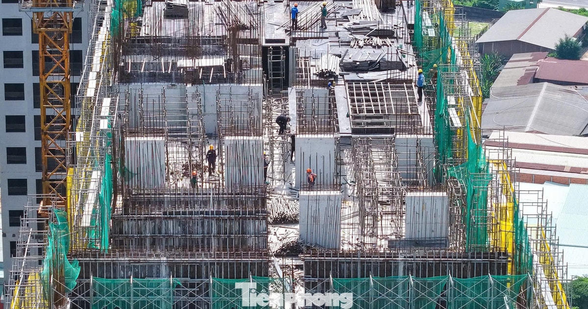 TPHCM sắp có hệ thống tra cứu giá giao dịch bất động sản thực tế