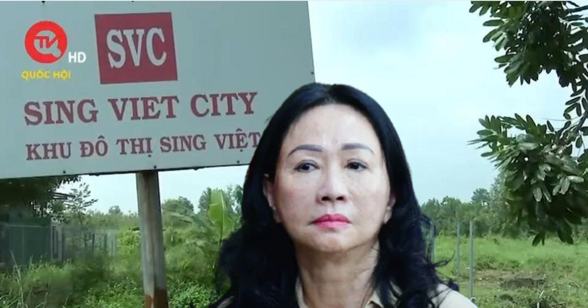 Dự án Sing Việt 300 triệu USD kéo dài 27 năm, cử tri đề nghị rà soát