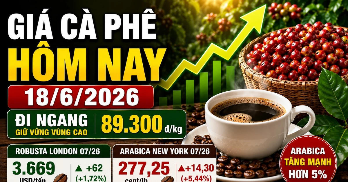 Giá cà phê hôm nay sáng 18/6: Arabica bật tăng mạnh, Tây Nguyên giao dịch bao nhiêu