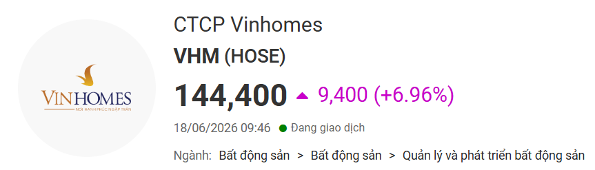Cổ phiếu họ Vingroup phủ tím: VIC, VHM, VRE cùng tăng trần