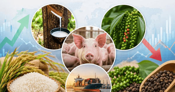 Giá gạo xuất khẩu tăng nhẹ, hồ tiêu và cao su biến động ra sao?