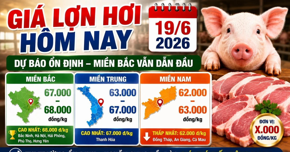 Giá lợn hơi hôm nay 19/6: Bắc Ninh, Hà Nội, Hải Phòng dẫn đầu