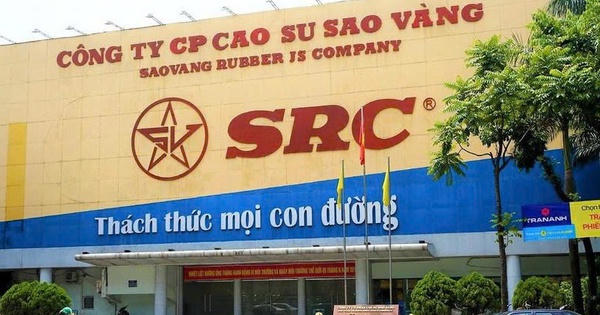 Cao su Sao Vàng tăng vốn lên gần 365 tỷ đồng sau cổ phiếu thưởng