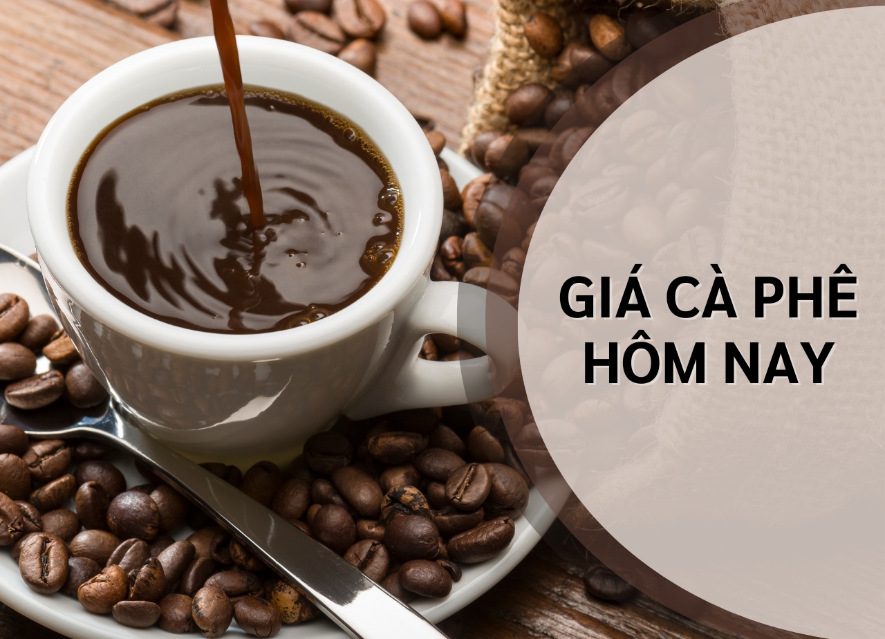 Giá cà phê hôm nay 21/6: Robusta, Arabica giảm mạnh; Tây Nguyên quay đầu giảm 