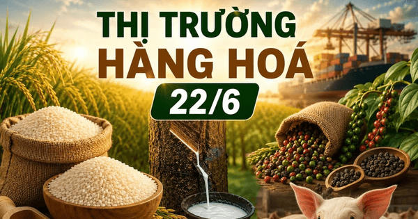 Giá hồ tiêu hôm nay phục hồi nhưng vẫn dưới 140.000 đồng/kg, gạo và heo hơi đi ngang
