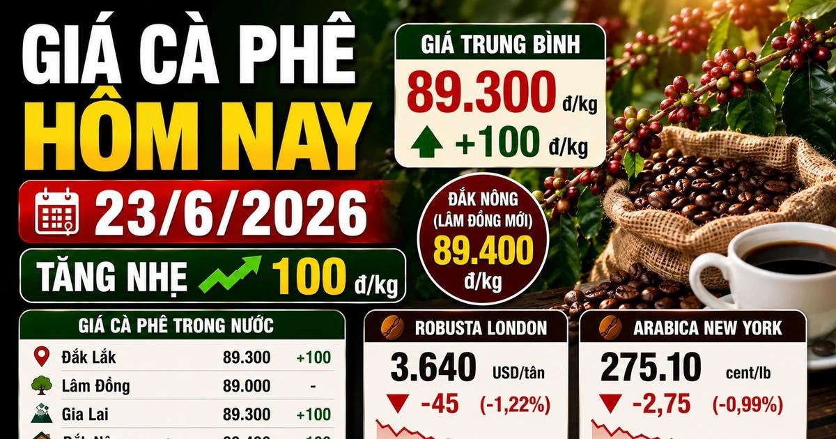 Giá cà phê hôm nay sáng 23/6: Nhích nhẹ lên 89.300 đồng/kg