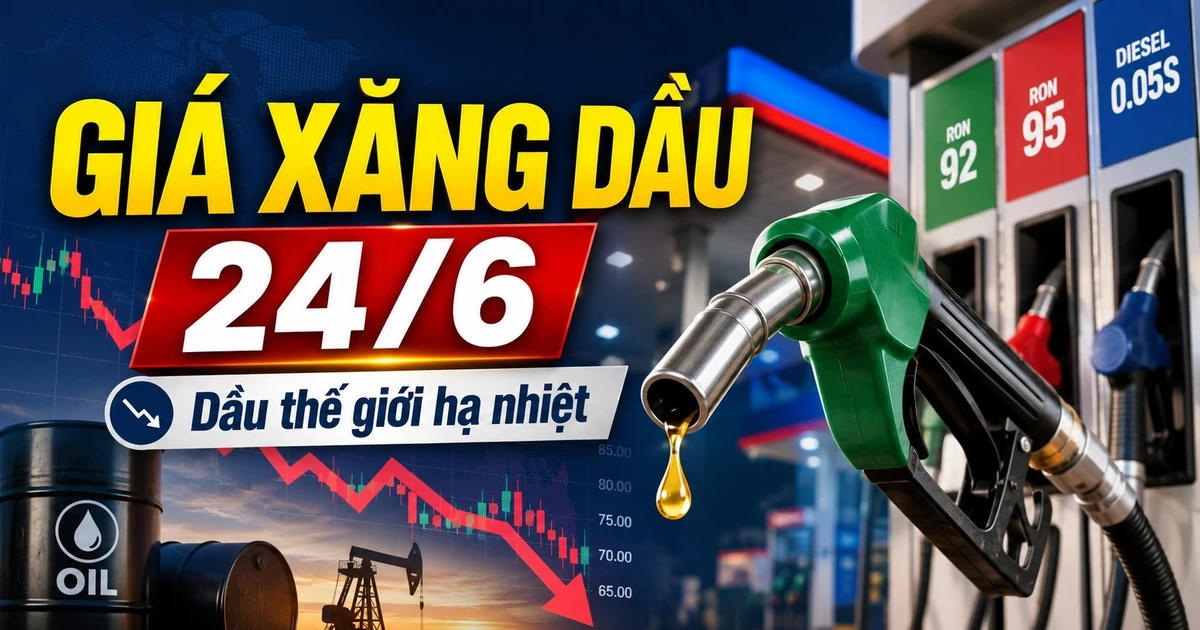 Giá xăng dầu hôm nay 24/6: Trong nước ổn định, thế giới hạ nhiệt