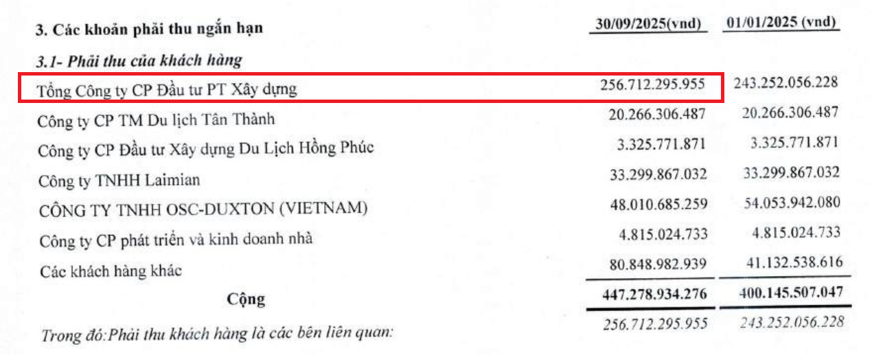 “Hưng phấn” khi lấn sân sang làm bất động sản, bị phạt vì dùng cả tiền bán cổ phiếu đi mua chung cư, tiềm lực DICERA Holdings ra sao, có quan hệ thế nào với DIC Group (DIG)?