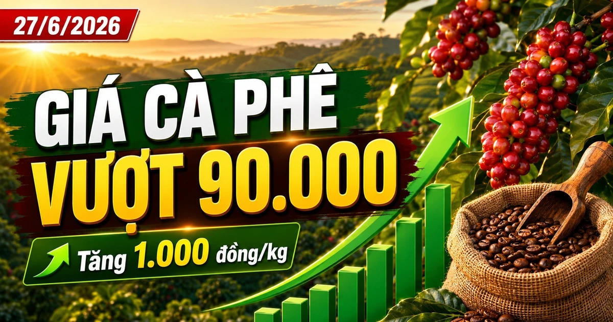 Giá cà phê hôm nay 27/6: Vượt mốc 90.000 đồng/kg