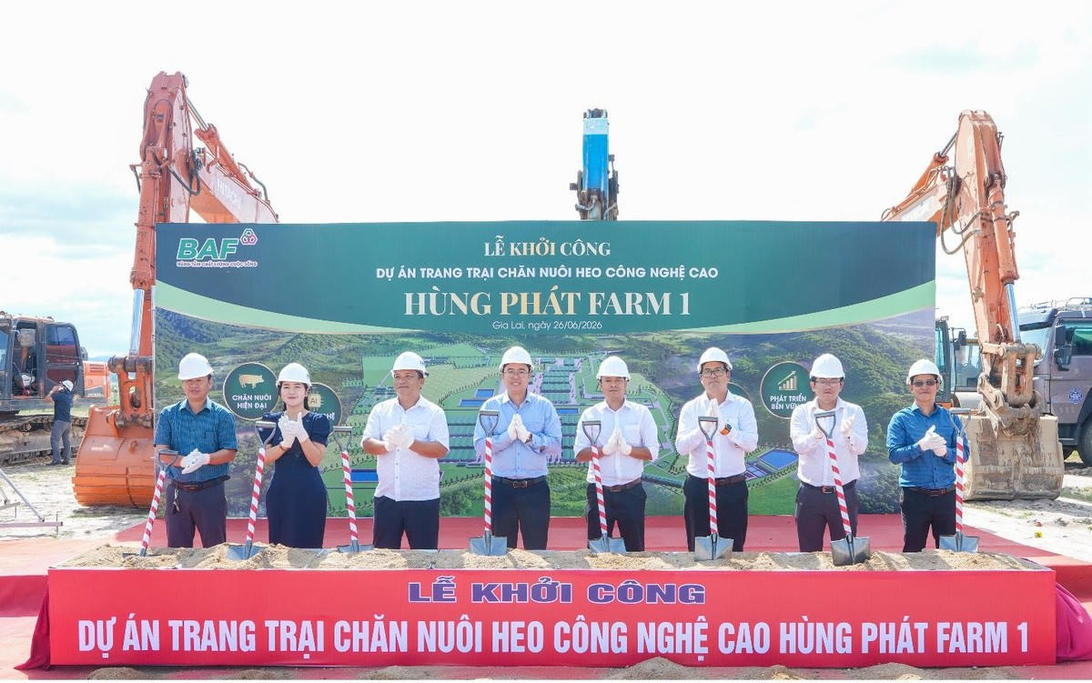 Hiện thực hóa vốn quốc tế: BAF chính thức khởi công "siêu trang trại" Hùng Phát Farm 1 tại Gia Lai