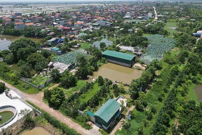 (Ảnh minh họa)