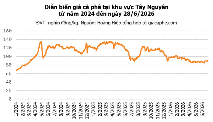 Chốt giá cà phê hôm nay 28/6: Bật tăng mạnh chạm mốc 90.000 đồng/kg