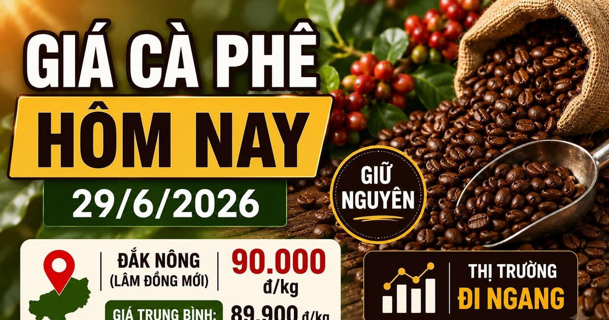Giá cà phê hôm nay sáng 29/6: Đắk Nông giữ mốc 90.000 đồng/kg