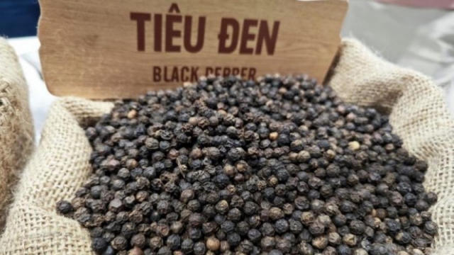 Giá tiêu hôm nay 29/6: Duy trì vùng 137.000-139.000 đồng/kg